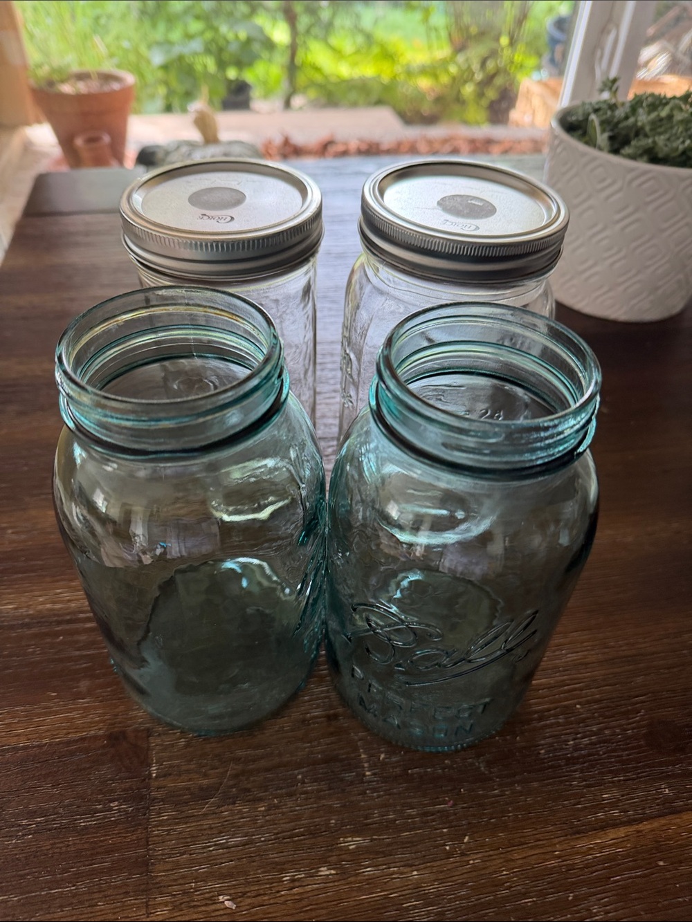 Perfect Mason Ball Glass Jars Set of 4 - Aqua and Clear blue glass and regular